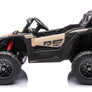 Buggy 24 volts - Can-ham Maverick_RS