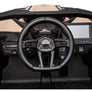 Buggy 24 volts - Can-ham Maverick_RS