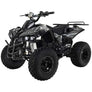 Quad Monster Électrique 1000 watts 48 volts