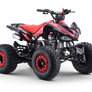 Quad Speedy 125cc 4 temps 8 pouces 2026