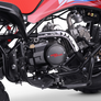 Quad Speedy 125cc 4 temps 8 pouces 2026