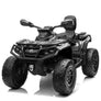 Quad Can-Am 850 4 moteurs x 200 watts 24 volts 2 places