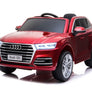 Audi Q5 monoplace