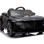 Bentley BACALAR Monoplace 2 moteurs 12 volts