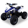 Quad Speedy Eco Électrique Enfant 1000 watts 48 volts
