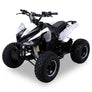 Quad Speedy Eco Électrique 1000 watts 48 volts