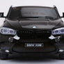 BMW X6 Large 2 places Grande (XXL)