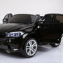 BMW X6 Large 2 places Grande (XXL)