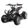 Mini Quad 50 cc Dragon roues en 4 pouces