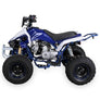 Quad Panthera 125cc 4 temps 8 pouces