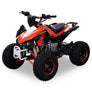 Quad Panthera 125cc 4 temps 8 pouces