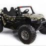 Buggy Can-Ham II Big cross 24 volts 4 moteurs 2 places