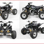 Quad TEMPEST 125 cc 4 temps Cross