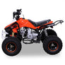 Quad Panthera 125cc 4 temps 8 pouces