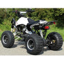 Quad Panthera 125cc 4 temps 8 pouces