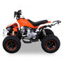 Quad Speedy 125cc 4 temps 8 pouces