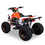 Quad Speedy 125cc 4 temps 8 pouces