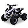 Quad Speedy 125cc 4 temps 8 pouces