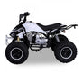 Quad Speedy 125cc 4 temps 8 pouces