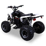 Quad Speedy Eco Électrique 1000 watts 48 volts