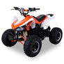 Quad Speedy Eco Électrique 1000 watts 48 volts