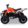 Quad Speedy Eco Électrique 1000 watts 48 volts