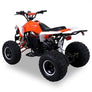 Quad Speedy Eco Électrique 1000 watts 48 volts