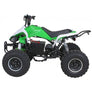 Quad Speedy Eco Électrique 1000 watts 48 volts