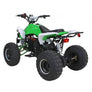Quad Speedy Eco Électrique 1000 watts 48 volts