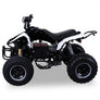 Quad Speedy Eco Électrique 1000 watts 48 volts