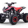 Quad Speedy 125cc 4 temps 8 pouces 2026